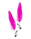PINCES A SEINS PLUMES