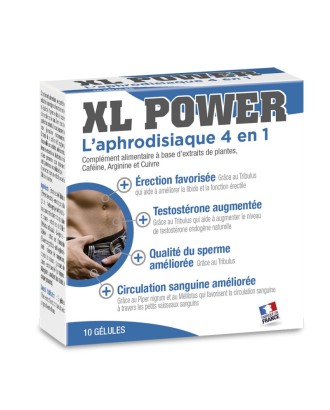 XL POWER