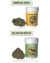 FLEURS DE CBD / 2GR. / THC inférieur à 0,2 %