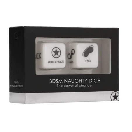 BDSM NAUGHTY DICE