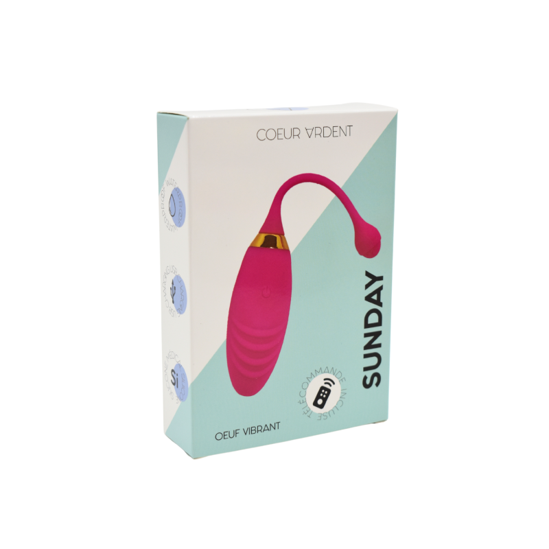 oeuf - télécommande - silicone - rechargeable