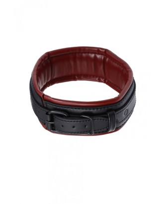 Collier molletonné / aspect cuir bicolore