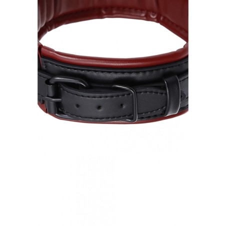 Collier molletonné / aspect cuir bicolore