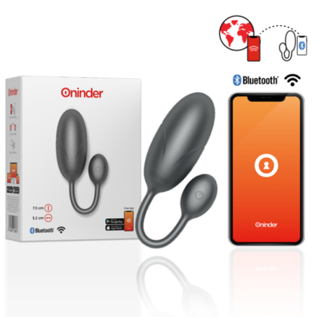 oeuf - télécommande - rechargeable - à distance - jeux - couples - application - loin