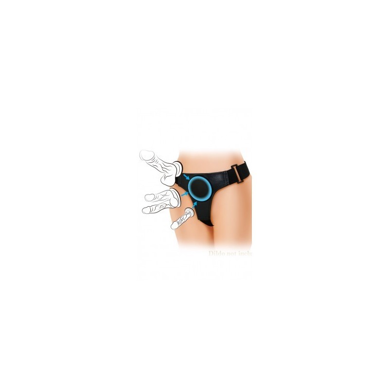 HARNESS BRIEFS HARNESS BRIEFS