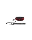Collar with Leash